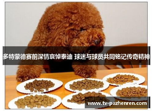 多特蒙德赛前深情哀悼泰迪 球迷与球员共同铭记传奇精神