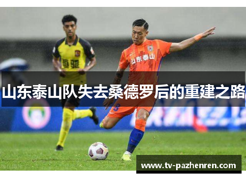 山东泰山队失去桑德罗后的重建之路