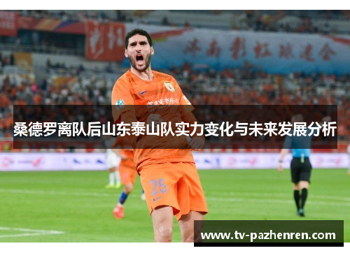 桑德罗离队后山东泰山队实力变化与未来发展分析
