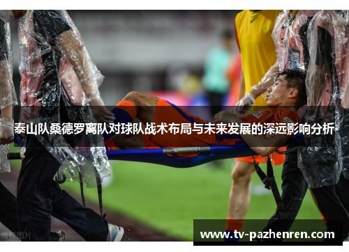 泰山队桑德罗离队对球队战术布局与未来发展的深远影响分析