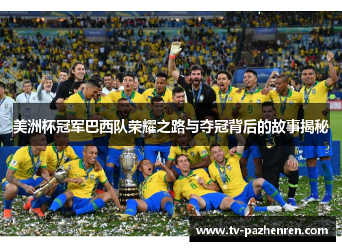 美洲杯冠军巴西队荣耀之路与夺冠背后的故事揭秘