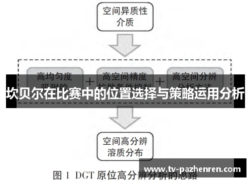 坎贝尔在比赛中的位置选择与策略运用分析