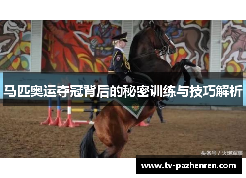 马匹奥运夺冠背后的秘密训练与技巧解析