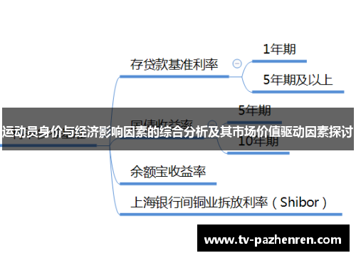 运动员身价与经济影响因素的综合分析及其市场价值驱动因素探讨