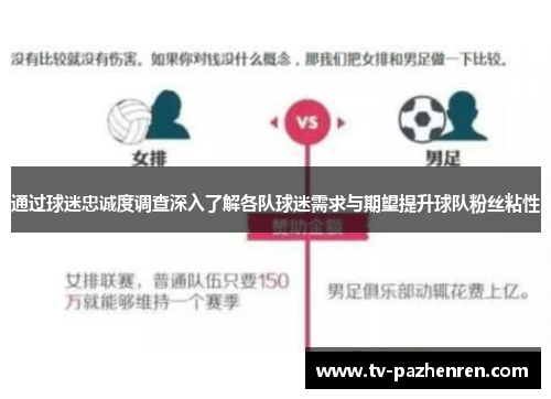 通过球迷忠诚度调查深入了解各队球迷需求与期望提升球队粉丝粘性